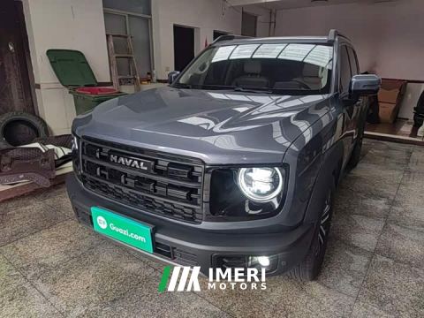 2025 Great Wall Dachshund 1.5T DCT Border Collie Edition - car from China