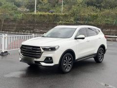 Haval H6 National Trend Edition 1.5T Automatic Urban Version - photo 1