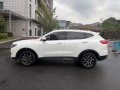 Haval H6 National Trend Edition 1.5T Automatic Urban Version - photo 15