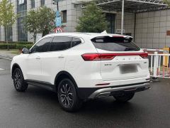 Haval H6 National Trend Edition 1.5T Automatic Urban Version - photo 16