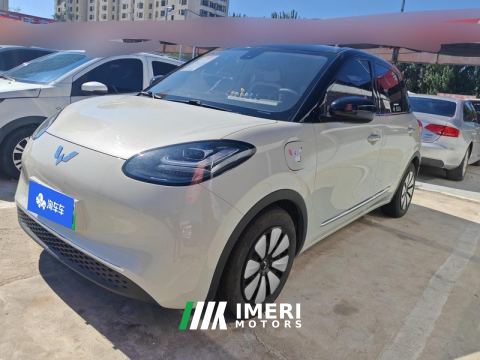 2023 Wuling Bingo Binguo 333km Joy Edition - car from China