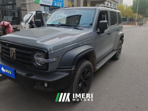 2021 Tank 300 Off-Road Edition 2.0T Conqueror - ავტომობილი ჩინეთიდან