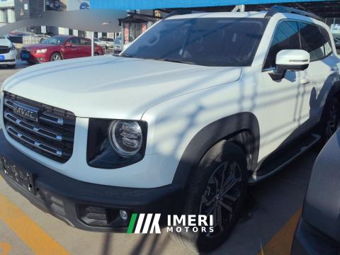 2021 Haval Great Wall Big Dog 1.5T 2WD Edition - car from China