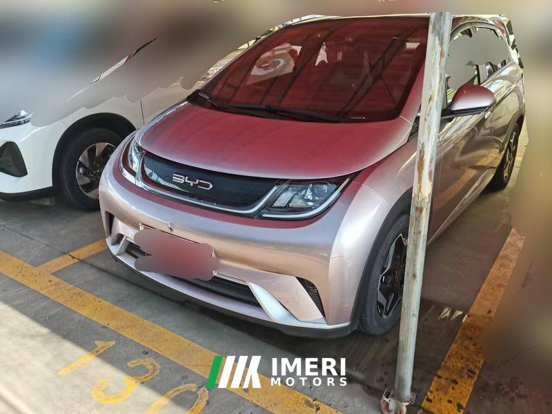 BYD Dolphin 405km Stylish Edition - car from China