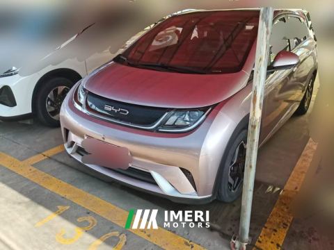 2021 BYD Dolphin 405km Stylish Edition - ავტომობილი ჩინეთიდან