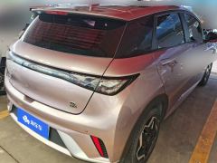 BYD Dolphin 405km Stylish Edition - photo 2