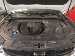 Geely Xingyue S 2.0TD Tiptronic 2WD Lightning Edition - фото 18
