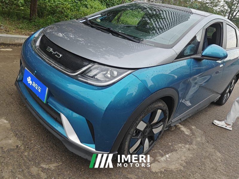 BYD Dolphin 401km Knight Edition - car from China