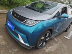 BYD Dolphin 401km Knight Edition - photo 1