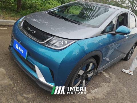 2021 BYD Dolphin 401km Knight Edition - car from China