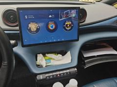 BYD Dolphin 401km Knight Edition - photo 17