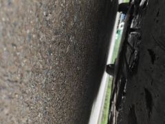 BYD Dolphin 401km Knight Edition - photo 8