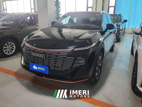 2022 Haval Mythical Beast 1.5T RWD Smart Edition - ავტომობილი ჩინეთიდან