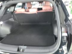 Haval Divine Beast Mythical Beast 1.5T RWD Smart Edition - ფოტო 7