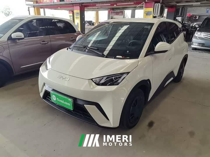 BYD Seagull 305km Vitality Edition - ავტომობილი ჩინეთიდან