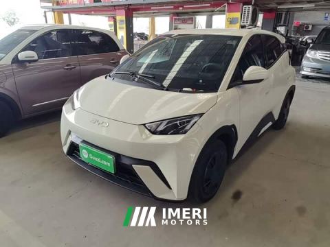 2025 BYD Seagull 305km Vitality Edition - car from China