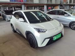 BYD Seagull 305km Vitality Edition - ფოტო 3