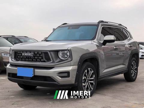 2024 Haval Big Dog PLUS 1.5T Two-Wheel Drive Trendy Wilderness Edition Plus - car from China