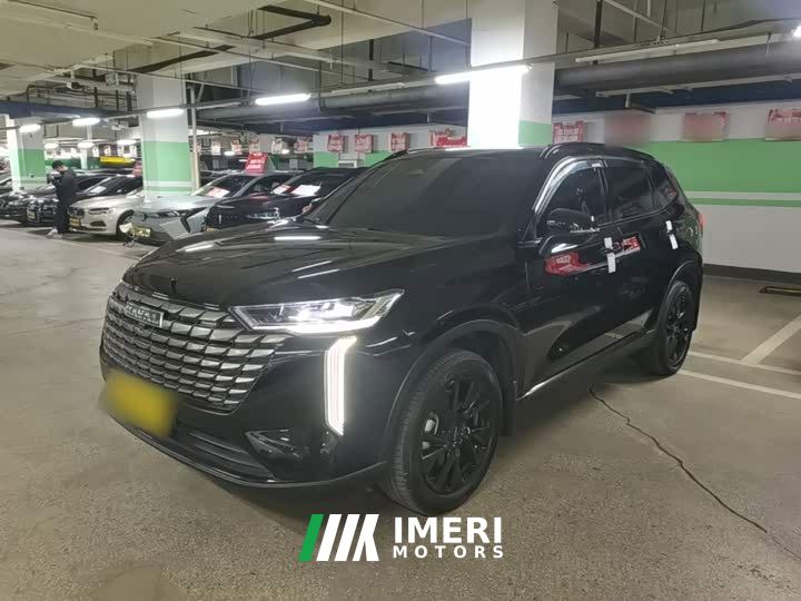 Haval H6 2.0T AWD Max - car from China