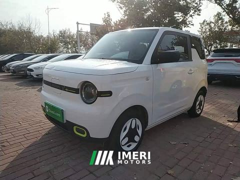 2025 Geely Panda Mini 210km Vitality Edition - car from China