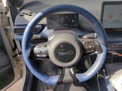 BYD Seagull 305km Free Version - ფოტო 18