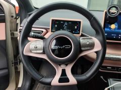 BYD Seagull 305km Free Version - ფოტო 18