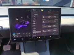 Tesla Model Y 688km Long Range AWD - ფოტო 20