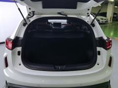 Haval Chitu Turbo Engine Edition 1.5T Platinum - фото 7