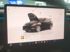 Tesla Model Y Facelift 545km Rear-Wheel Drive Edition - ფოტო 20