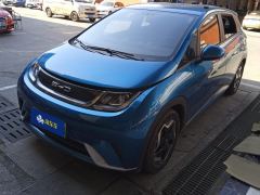 BYD Dolphin 405km Free Version - ფოტო 1