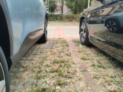 Geely Boyue COOL 1.5T Supreme Edition - ფოტო 10