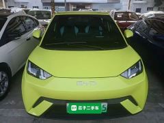 BYD Seagull Glory Edition 305km Vitality Version - ფოტო 2