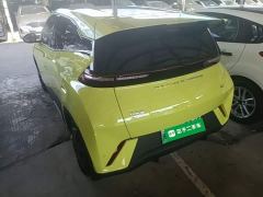 BYD Seagull Glory Edition 305km Vitality Version - ფოტო 4