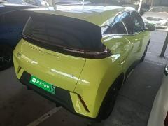 BYD Seagull Glory Edition 305km Vitality Version - ფოტო 6
