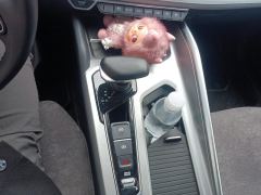 Geely Xingui Xingrui Facelift 2.0TD Prestige Edition - фото 19