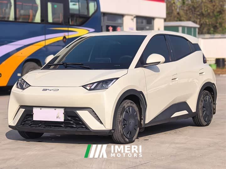 BYD Seagull Glory Edition 305km Vitality Version - car from China