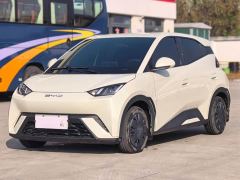 BYD Seagull Glory Edition 305km Vitality Version - photo 1