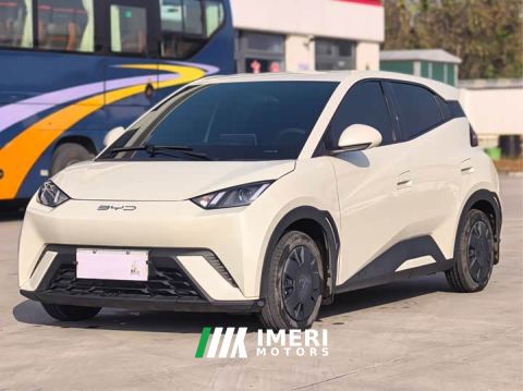 2024 BYD Seagull Glory Edition 305km Vitality Version - ავტომობილი ჩინეთიდან