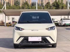 BYD Seagull Glory Edition 305km Vitality Version - photo 2
