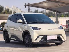 BYD Seagull Glory Edition 305km Vitality Version - photo 3
