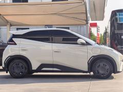 BYD Seagull Glory Edition 305km Vitality Version - photo 4