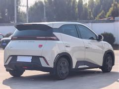 BYD Seagull Glory Edition 305km Vitality Version - photo 5