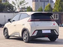 BYD Seagull Glory Edition 305km Vitality Version - photo 7