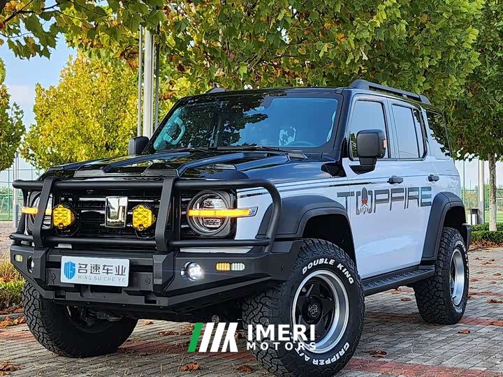 Tank 300 Off-Road Edition 2.0T Conqueror - ავტომობილი ჩინეთიდან