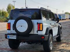 Tank 300 Off-Road Edition 2.0T Conqueror - ფოტო 13
