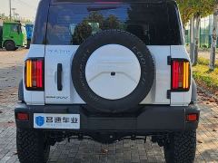 Tank 300 Off-Road Edition 2.0T Conqueror - ფოტო 14
