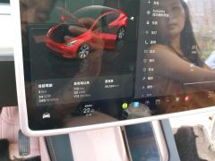 Tesla Model Y 545km Rear-Wheel Drive Edition - ფოტო 20