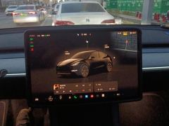 Tesla Model Y 554km Rear-Wheel Drive Edition - photo 17