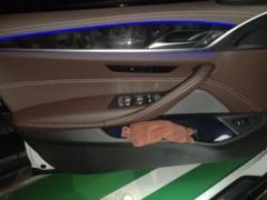 BMW 5 Series 525Li Luxury Package - ფოტო 13