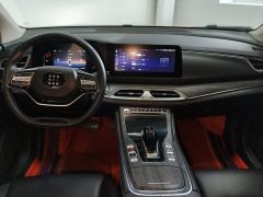 Blue Electric E5 1.5L100Km Version7 - ფოტო 16